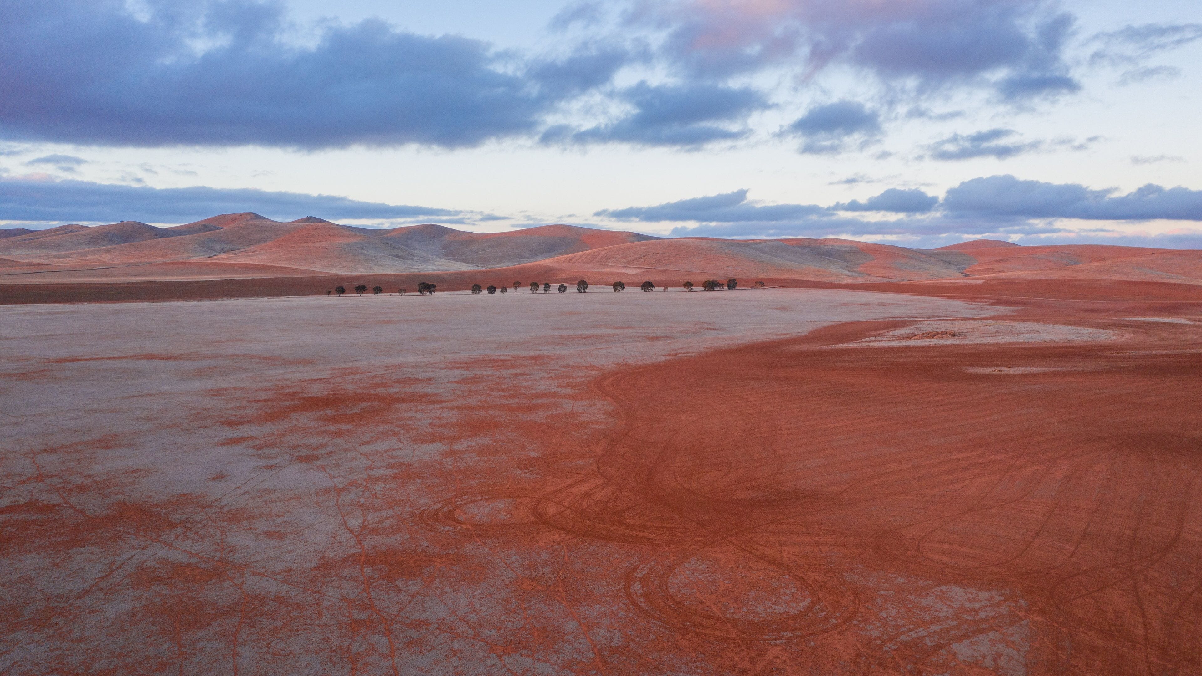 Burra showing tranquil scenes, landscape views and land animals