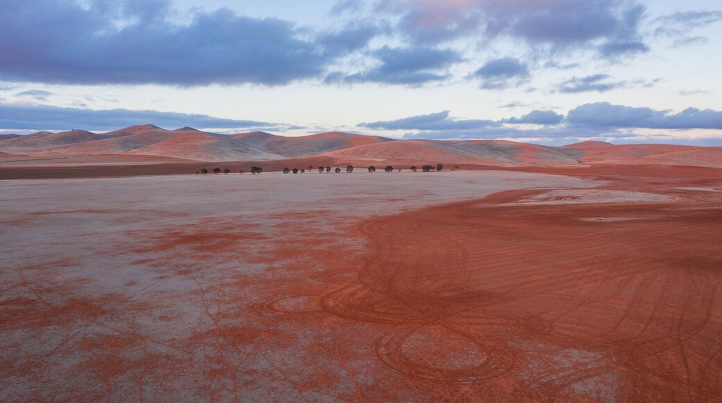 Burra showing tranquil scenes, landscape views and land animals