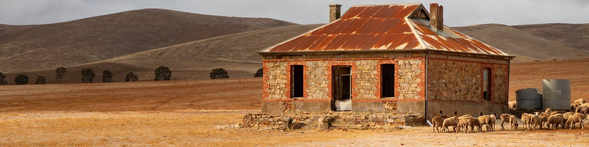 Burra which includes tranquil scenes, farmland and land animals