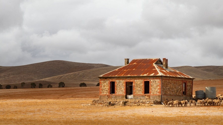 Burra which includes tranquil scenes, farmland and land animals