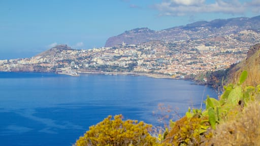 Ponta da Oliveira which includes landscape views, a coastal town and general coastal views