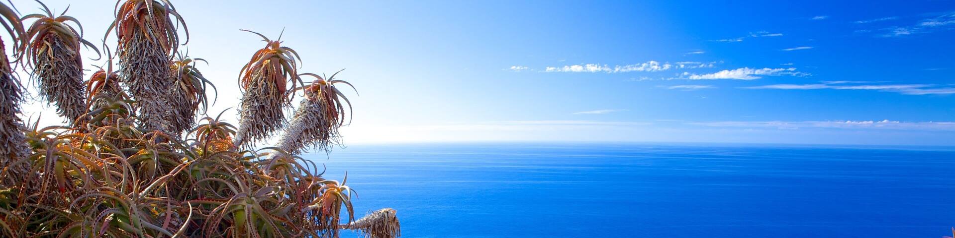 Ponta da Oliveira mit einem allgemeine Küstenansicht und Landschaften