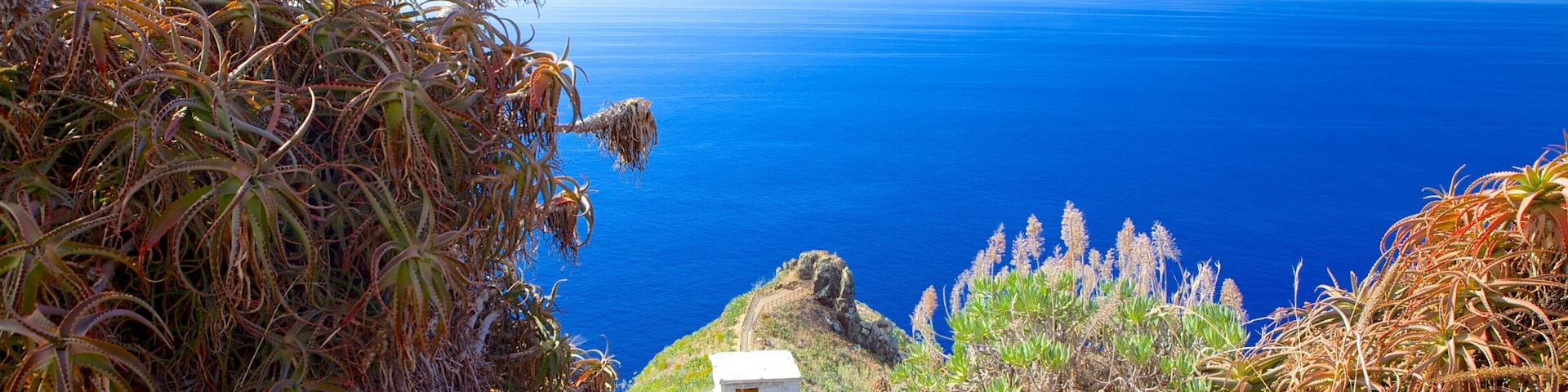Ponta da Oliveira showing landscape views and general coastal views