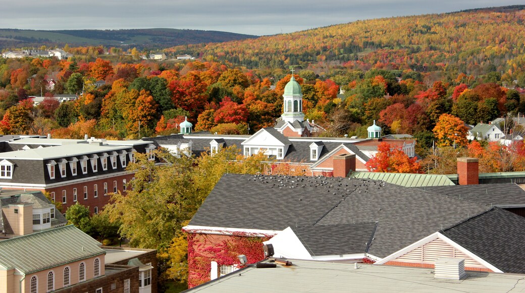 Maine universitet