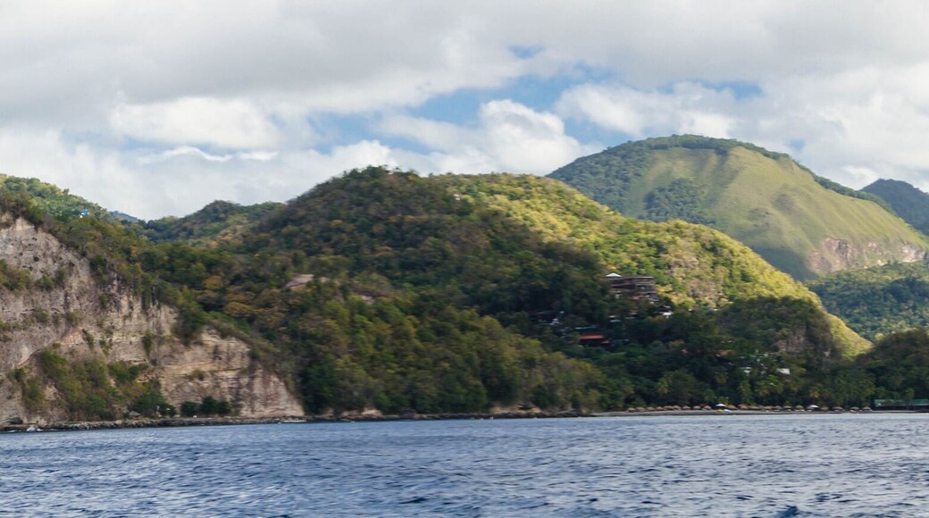 加那利群島