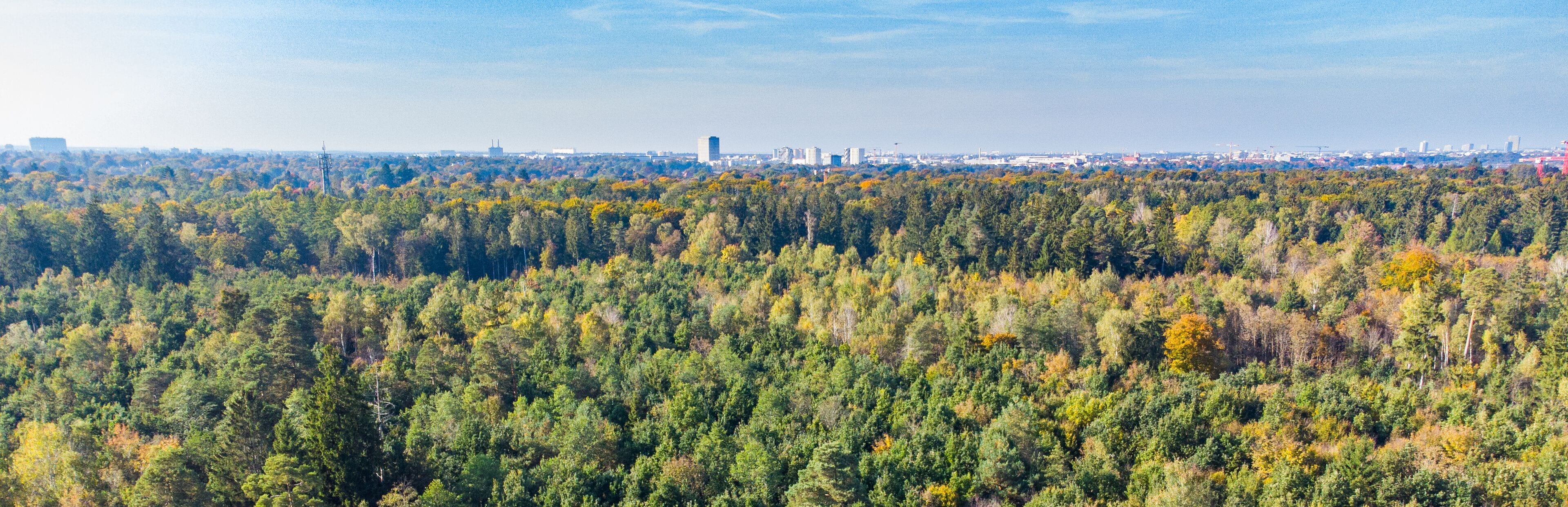 Perlacher forst forest with Munich in the background