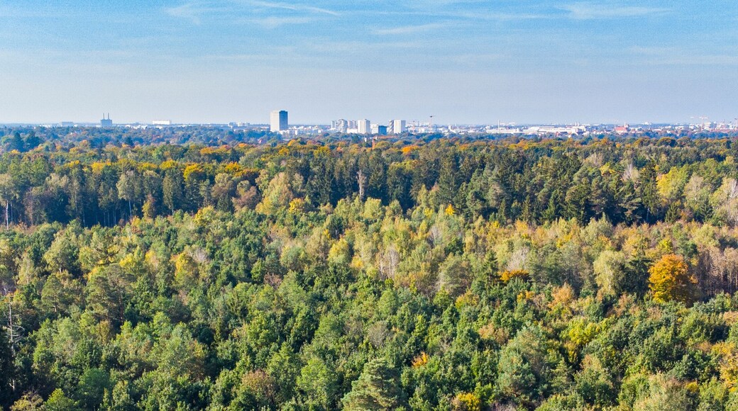 Perlacher forst forest with Munich in the background