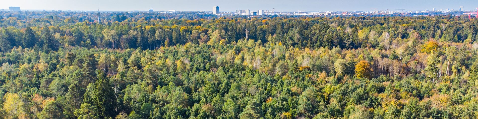 Perlacher forst forest with Munich in the background