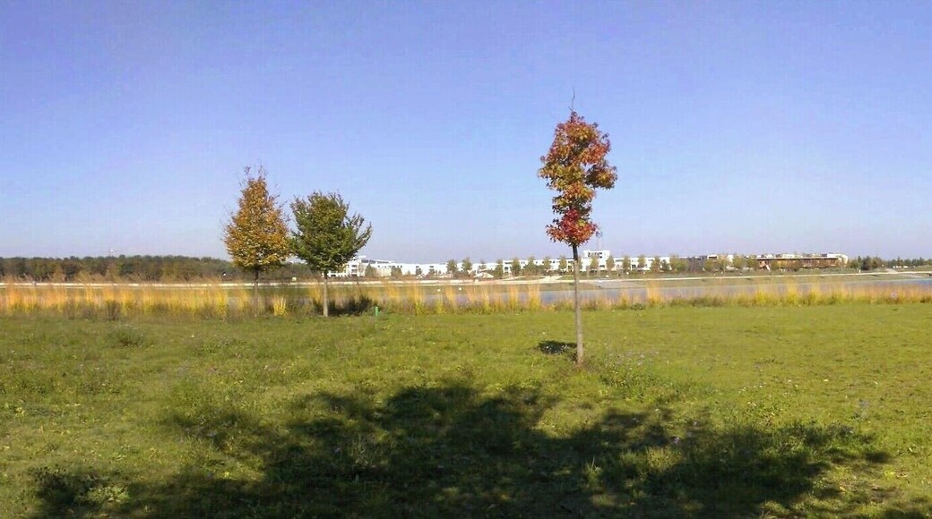 10.10.2010. _ Trudering-Riem, München