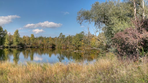 Un lac paisible, entouré d’une forêt dense et d’un feuillage automnal.