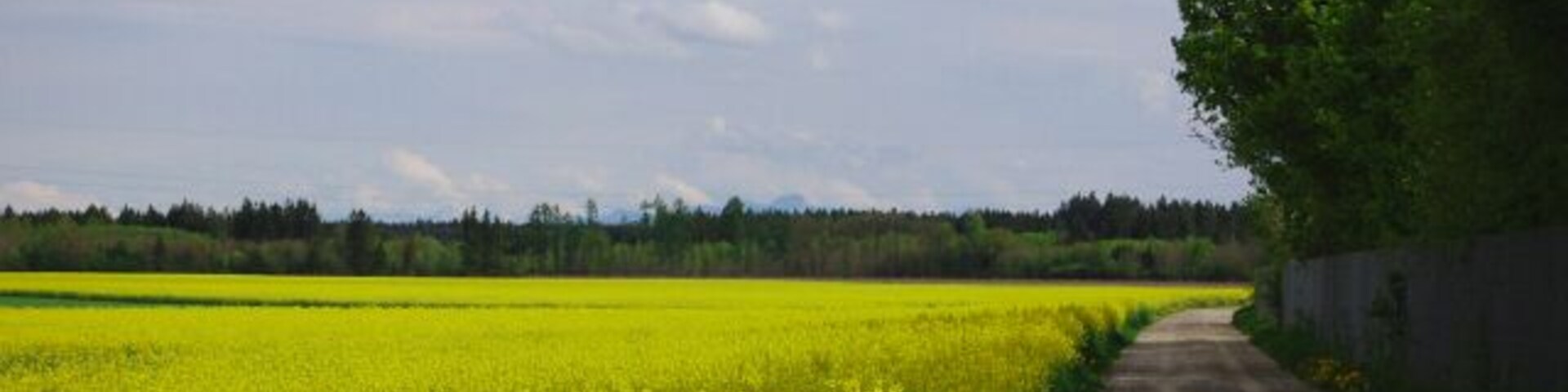 Taufkirchen: Lanzenhaarer Weg