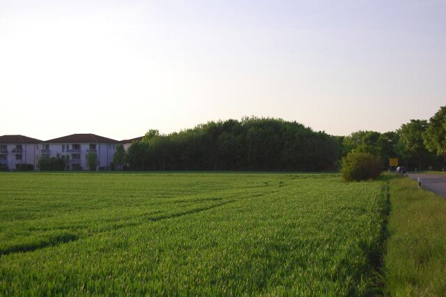 Taufkirchen: Felder bei Winning