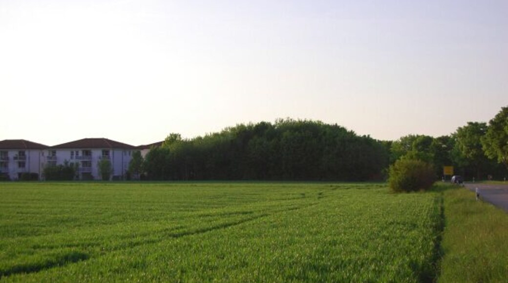 Taufkirchen: Felder bei Winning