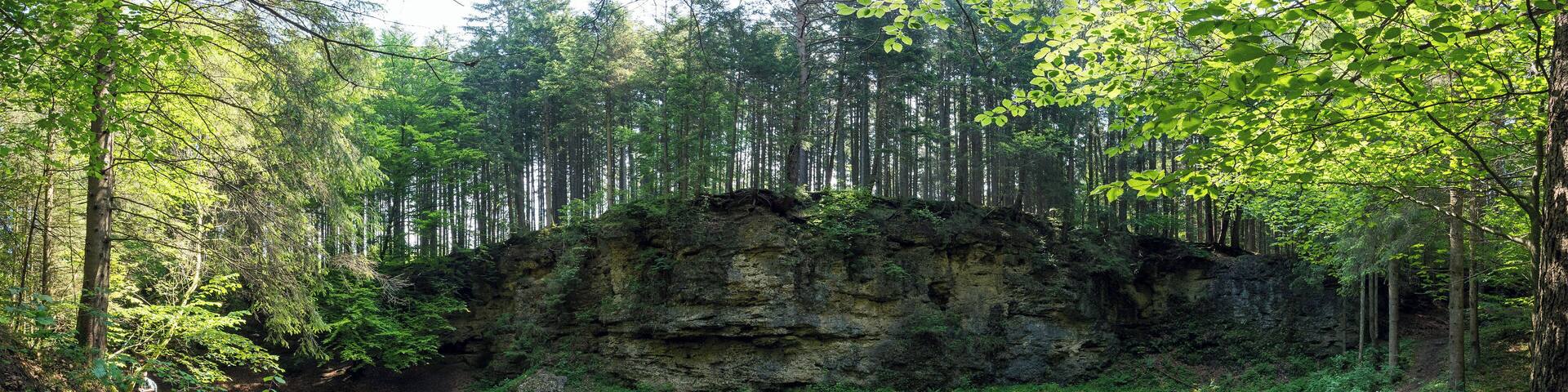 Teilweise bewachsener Nagelfluhsteinbruch im Gleißental, zwischenzeitlich auch als Klettergarten und Film-Location genutzt. Mit Überresten von hier nicht gestatteten Grillabenden.