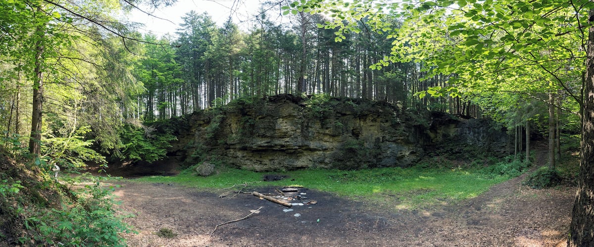 A forest with a large rock formation surrounded by trees.