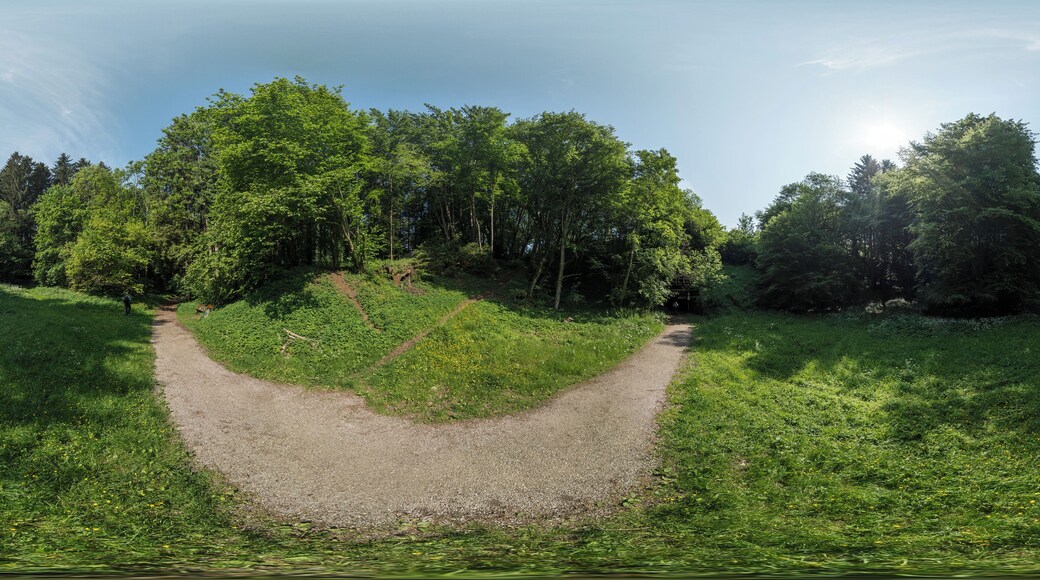 Vollsphärisches Panorama des Gleißentals westlich der Überführung Sauerlacher Straße, aufgenommen aus etwa 4 m Höhe über dem Weg.