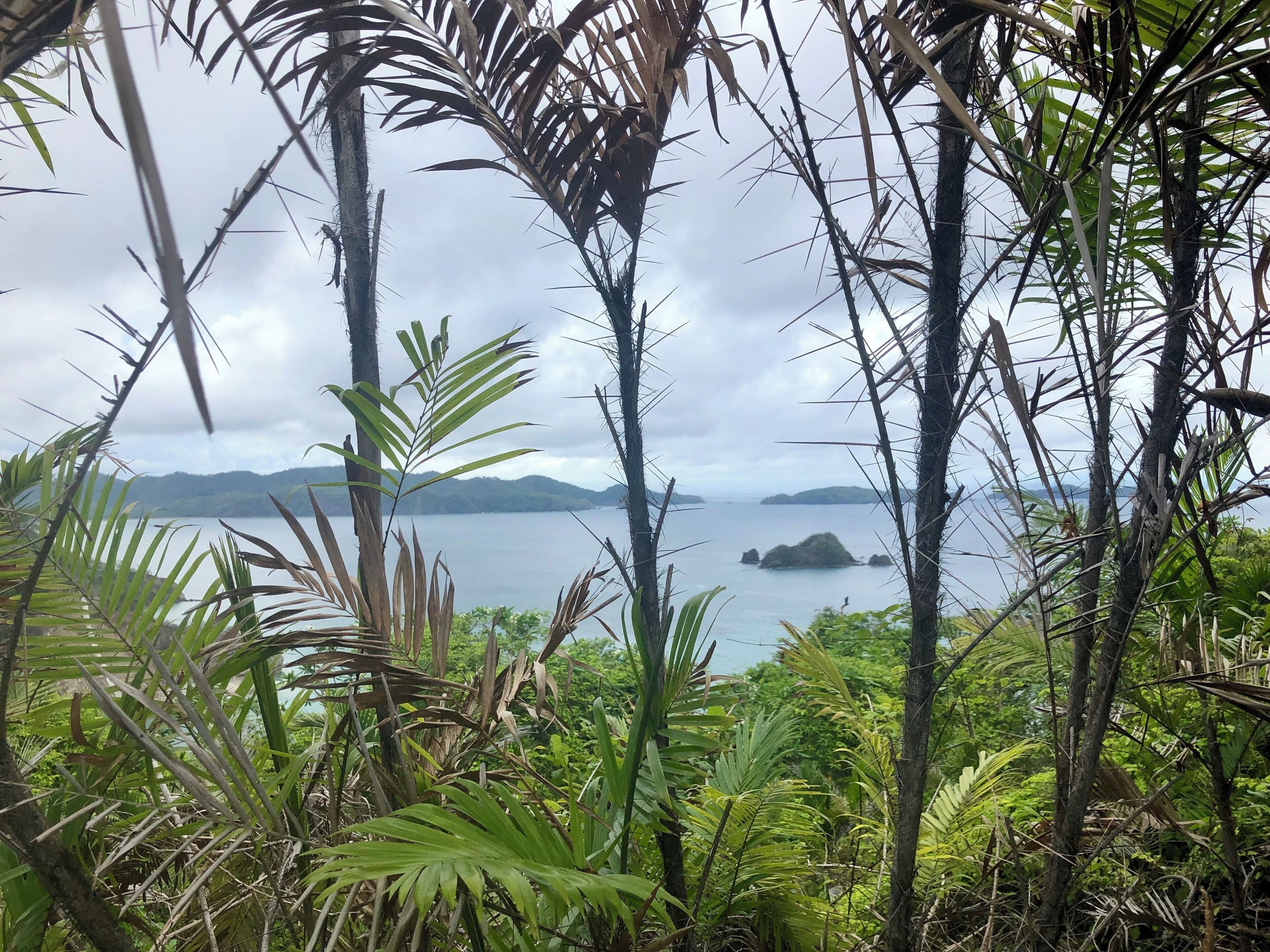 At the top of this little island in Costa Rica you’ll find the picture perfect of paradise. After a short 25-30 minutes hike you get to the top and witness spectacular sights... go slow to look out for animals. #culture