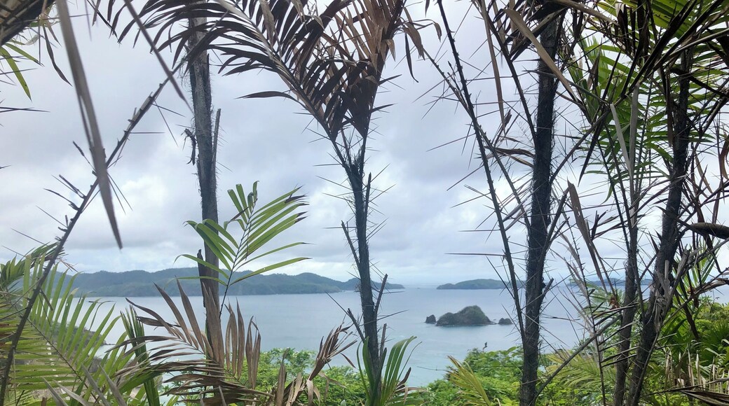 At the top of this little island in Costa Rica you’ll find the picture perfect of paradise. After a short 25-30 minutes hike you get to the top and witness spectacular sights... go slow to look out for animals. #culture