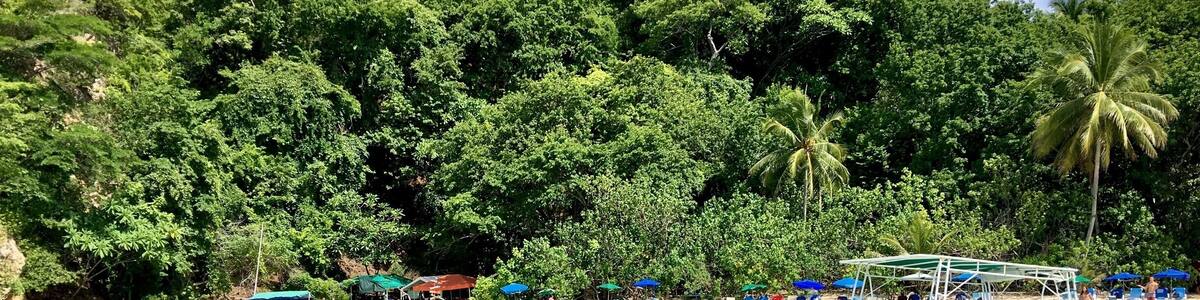 A great way to spend the day