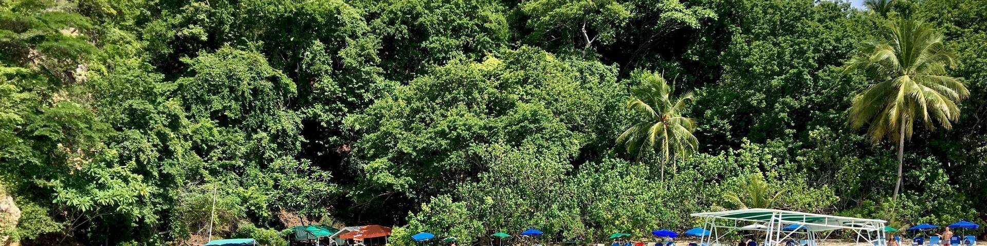 A great way to spend the day