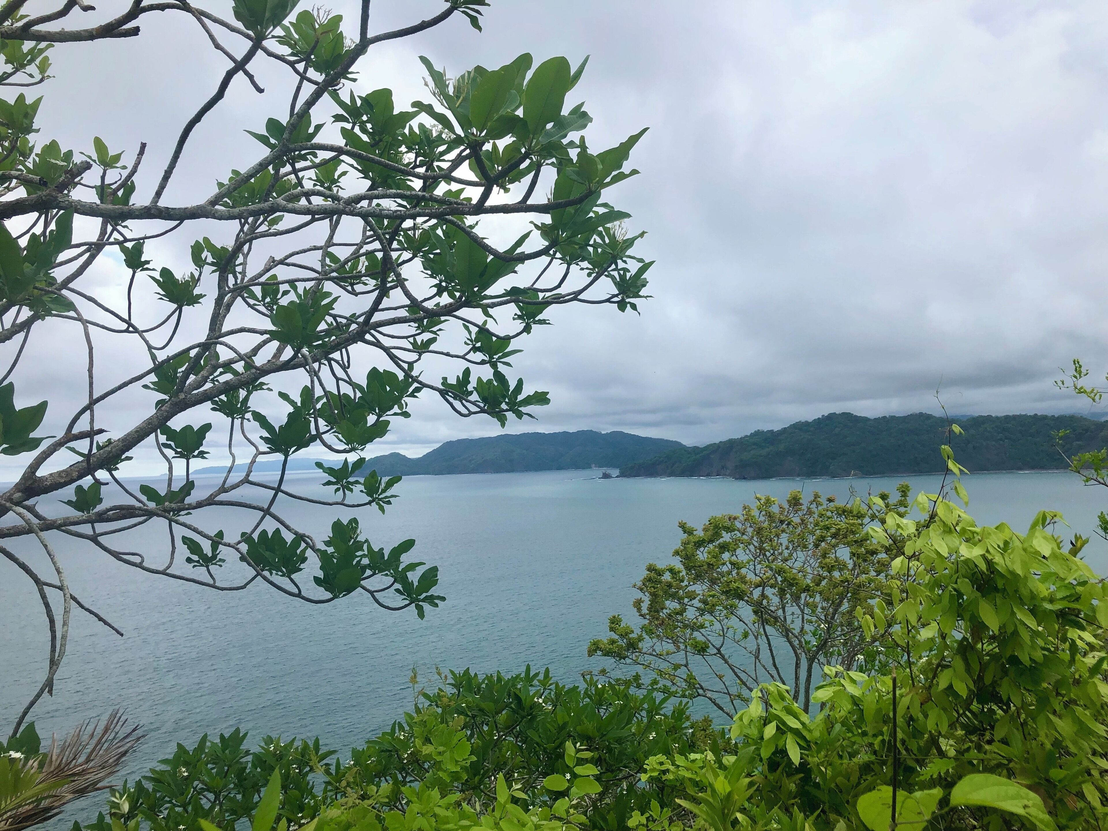 Couldn’t get enough of these views. Go get a fantastic tour with Costa Cat Tours, and don’t miss the longest hike through the “Sendero de los Poetas” to get to the top and reward yourself with this scenery! #culture