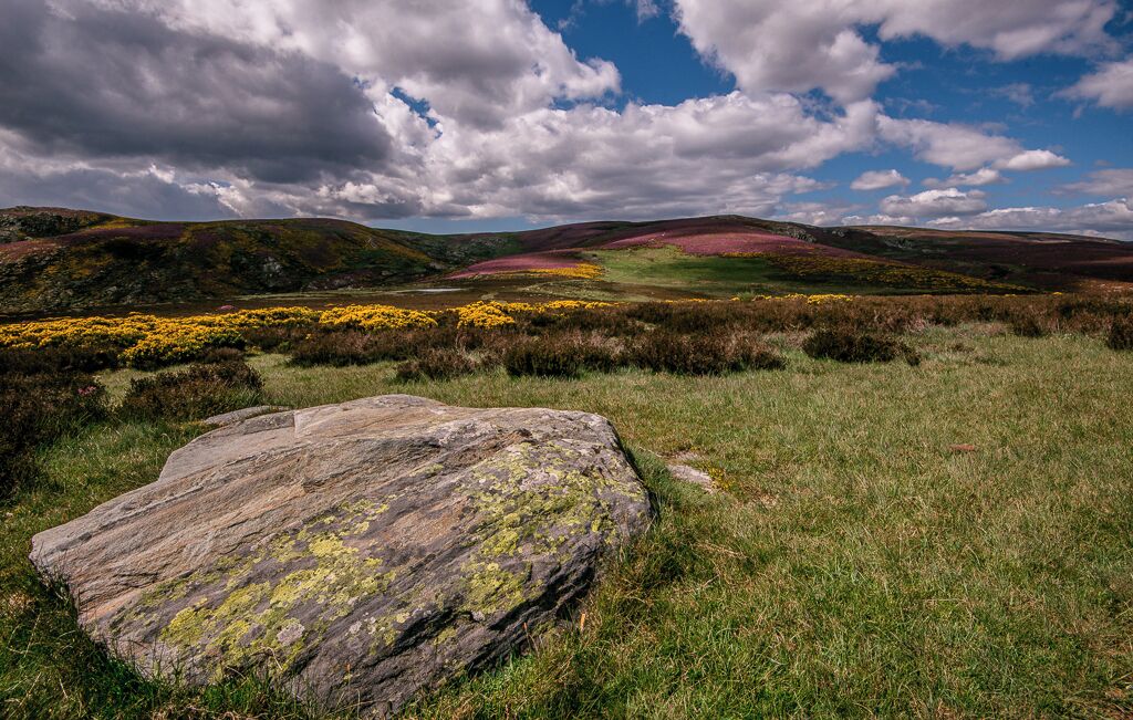 A rocky landscape with a large boulder in the foreground and a grassy field with yellow flowers in the background.