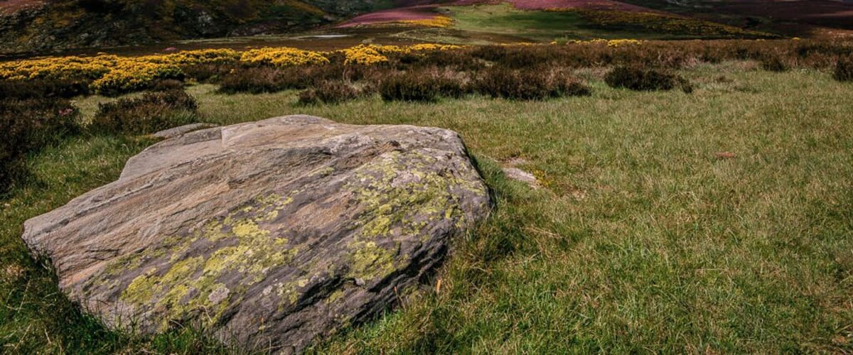 A rocky landscape with a large boulder in the foreground and a grassy field with yellow flowers in the background.