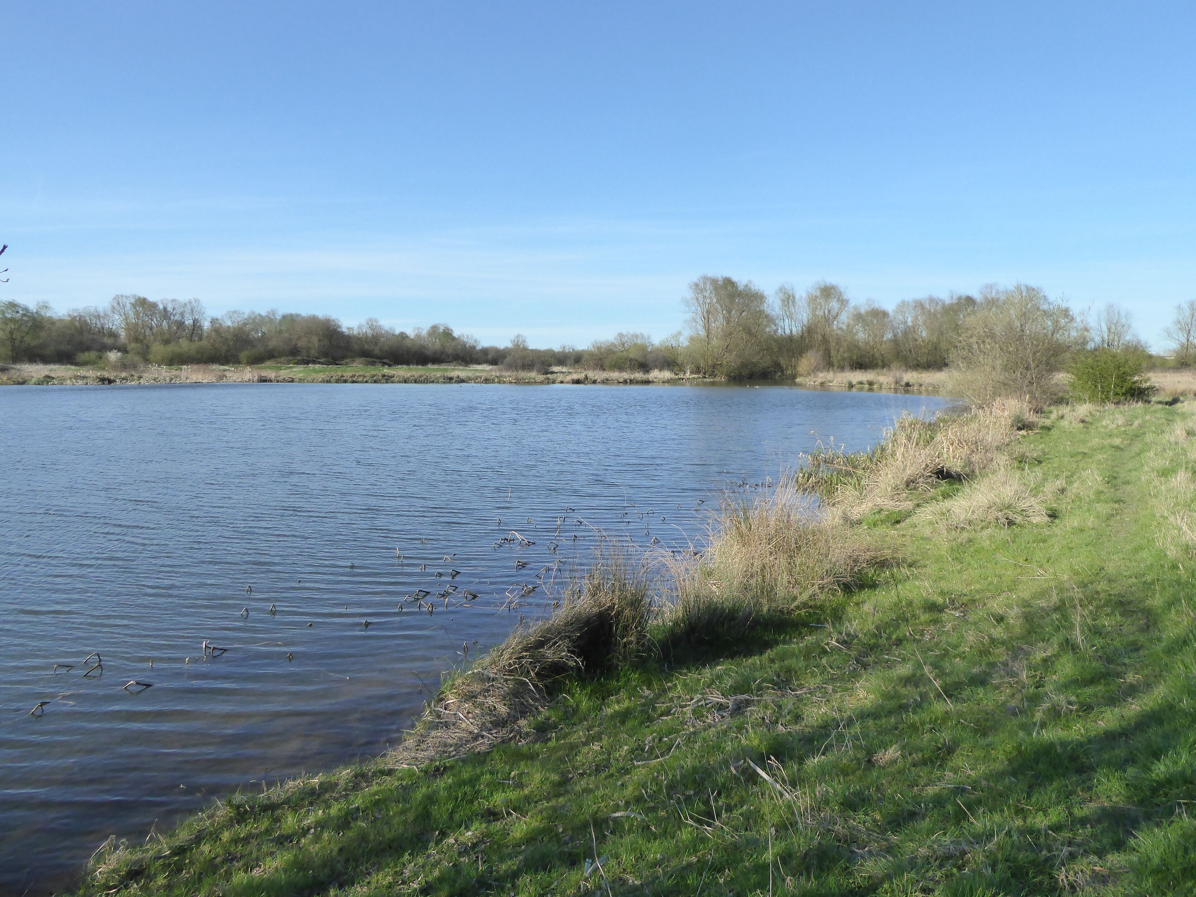 Wilson's Pits is a nature reserve east of Wellingborough in Northamptonshire. It is managed by the Wildlife Trust for Bedfordshire, Cambridgeshire and Northamptonshire, and is part of the Upper Nene Valley Gravel Pits Site of Special Scientific Interest.
