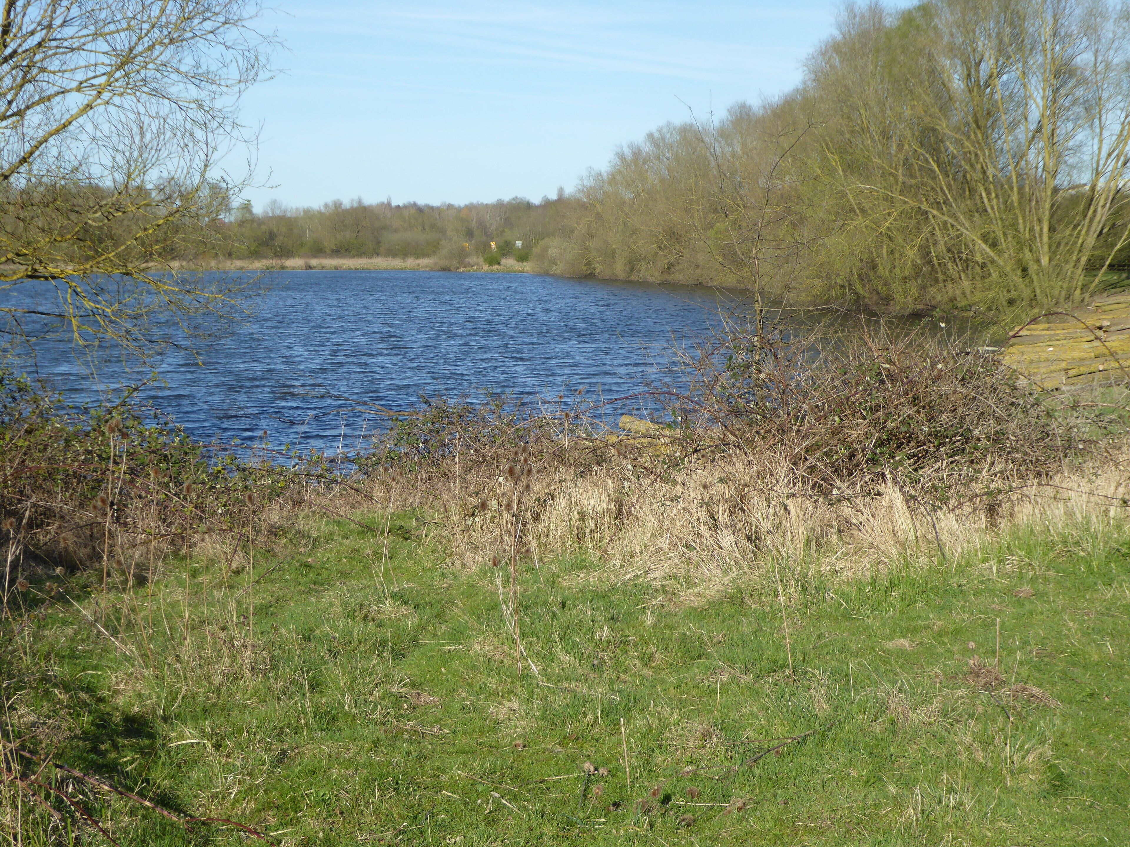 Wilson's Pits is a nature reserve east of Wellingborough in Northamptonshire. It is managed by the Wildlife Trust for Bedfordshire, Cambridgeshire and Northamptonshire, and is part of the Upper Nene Valley Gravel Pits Site of Special Scientific Interest.