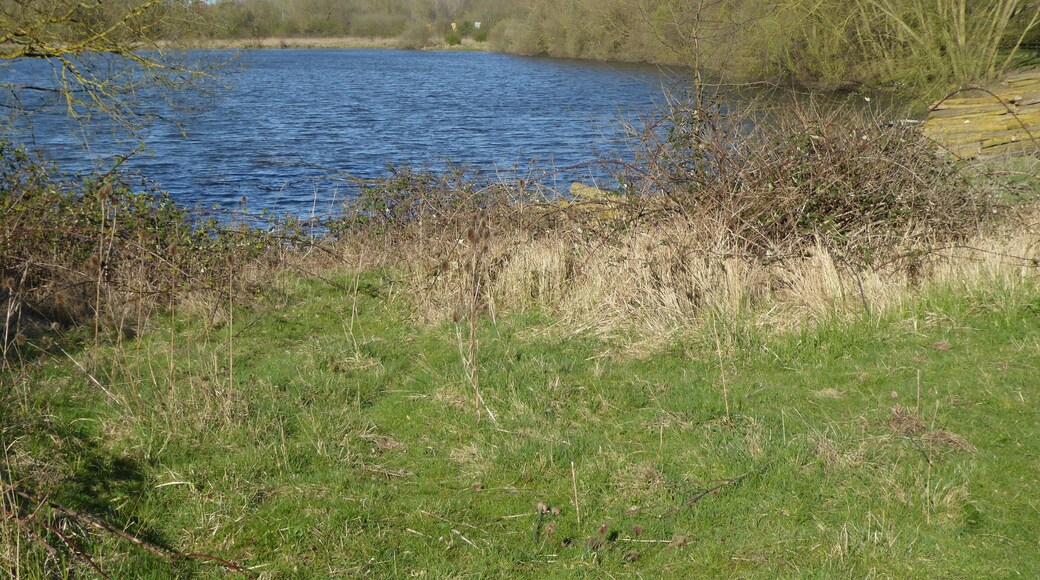 Wilson's Pits is a nature reserve east of Wellingborough in Northamptonshire. It is managed by the Wildlife Trust for Bedfordshire, Cambridgeshire and Northamptonshire, and is part of the Upper Nene Valley Gravel Pits Site of Special Scientific Interest.