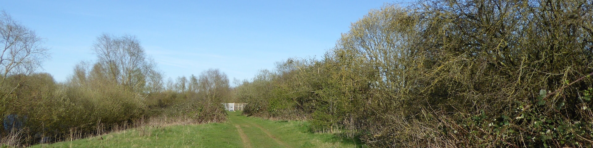 Wilson's Pits is a nature reserve east of Wellingborough in Northamptonshire. It is managed by the Wildlife Trust for Bedfordshire, Cambridgeshire and Northamptonshire, and is part of the Upper Nene Valley Gravel Pits Site of Special Scientific Interest.