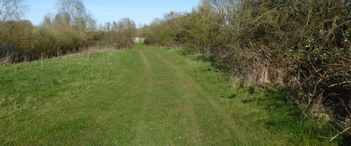 A rural path with a gate in the distance, surrounded by trees and grass.