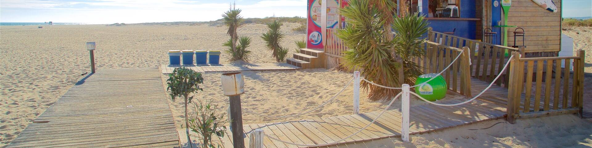 A beach bar named XIRI Beach Bar with a wooden structure, palm trees, and a wooden boardwalk leading to the beach.