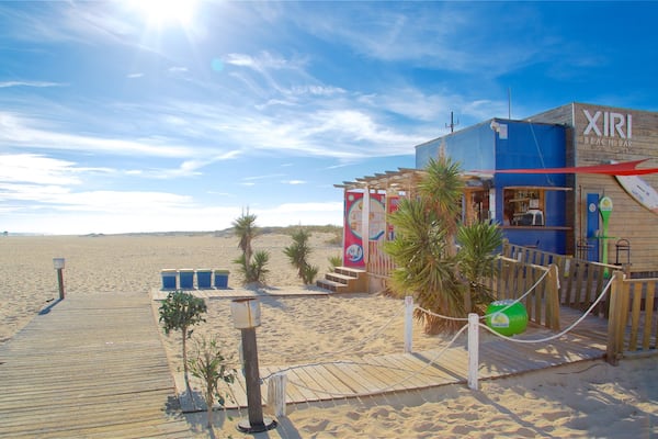 A beach bar named XIRI Beach Bar with a wooden structure, palm trees, and a wooden boardwalk leading to the beach.