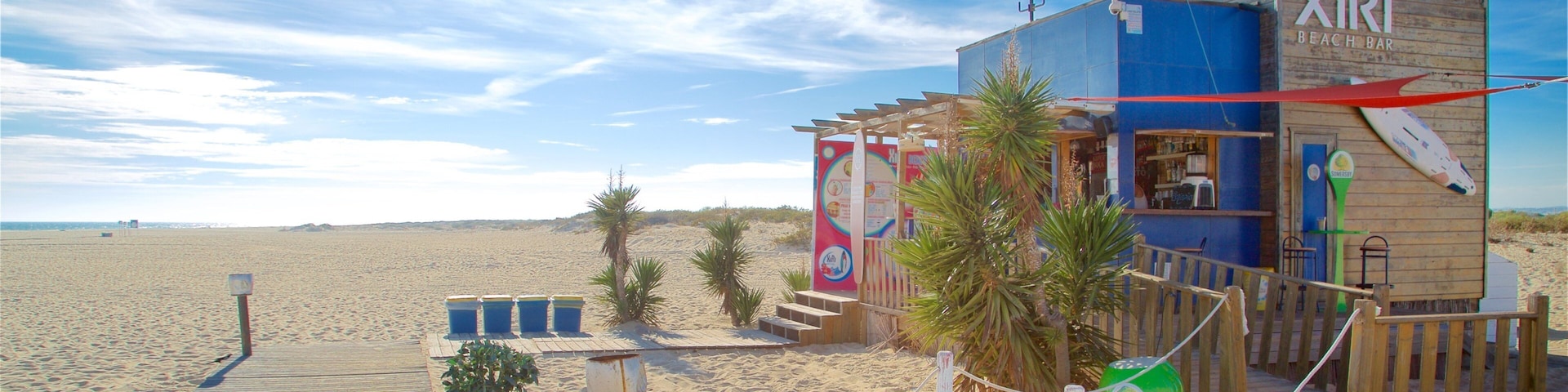 Un bar de playa llamado XIRI Beach Bar con estructura de madera, palmeras y un paseo de madera que lleva a la playa.