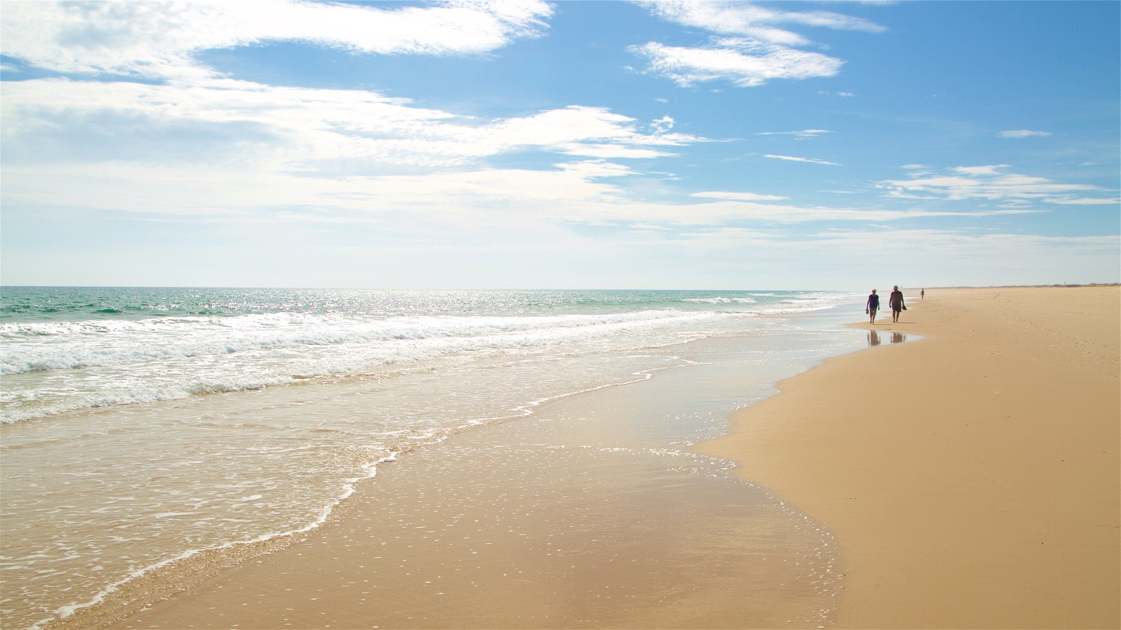 Terra Estreita Beach which includes a sandy beach and general coastal views as well as a couple