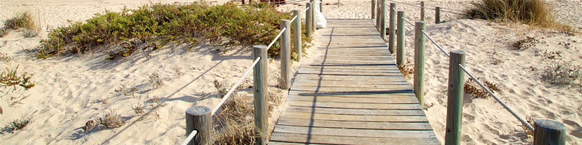 Terra Estreita Beach which includes a beach and general coastal views