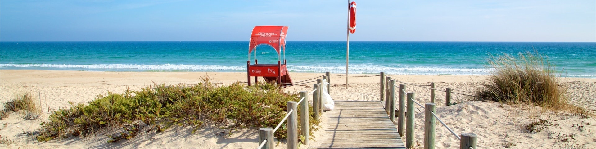Terra Estreita Beach showing a sandy beach and general coastal views