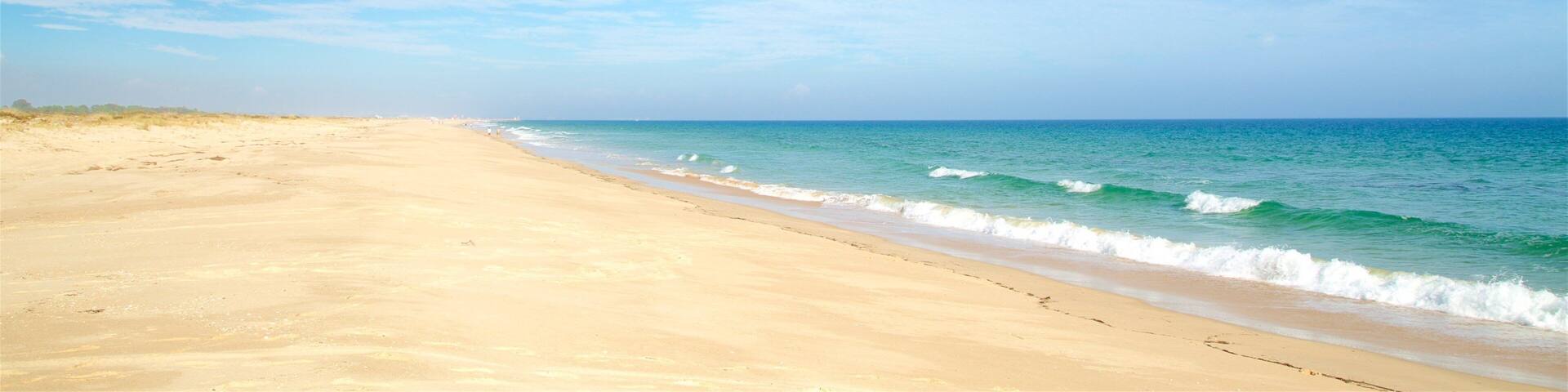 Terra Estreita Beach showing general coastal views and a sandy beach