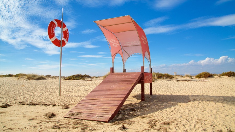 Reddingsboei, een houten hellingbaan en een strandparasol op een zandstrand.