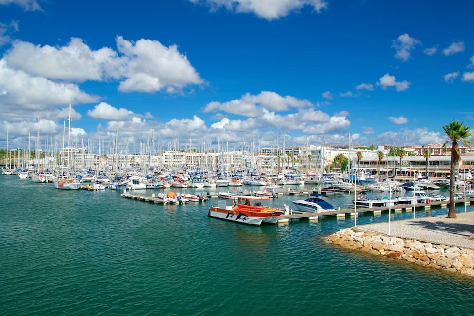A marina with numerous boats docked, a clear blue sky, and a stone breakwater.