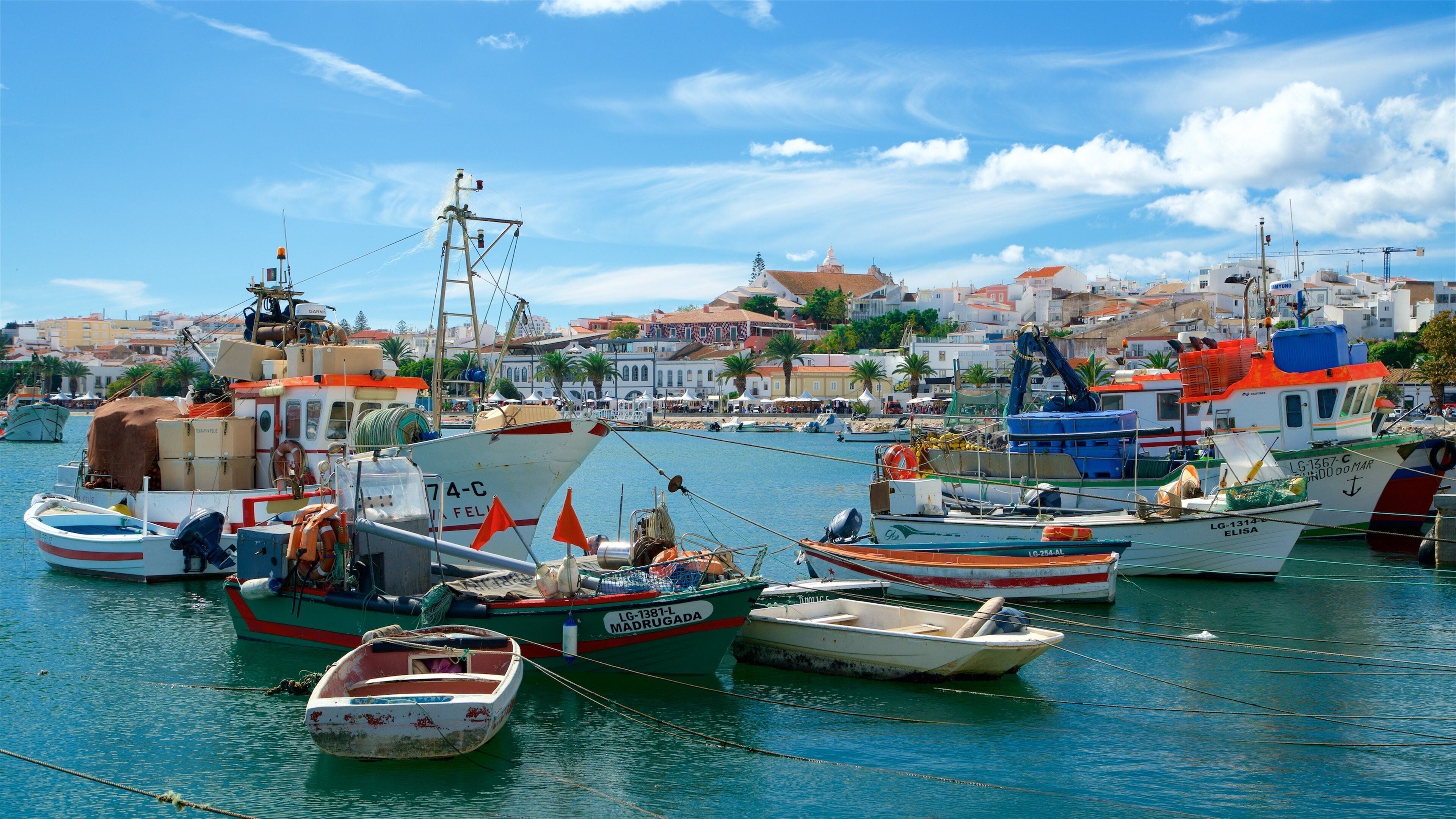 Marina de Lagos mostrando una bahía o un puerto