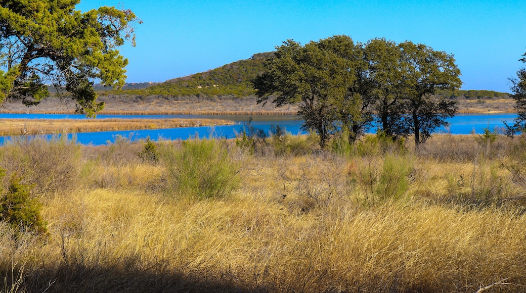 Stillhouse Hollow Lake landscape with trees, and a lush meadow at Dana Peak Park, Harker Heights Texas