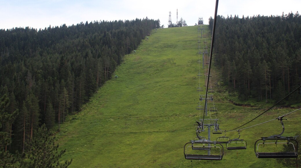 Mountain Zlatibor and its surroundings are a pearl in the tourism of Serbia. Must visit waterfalls, caves and ethno villages to try local specialties.