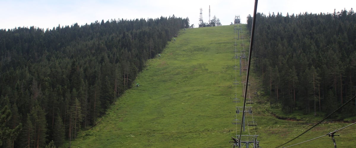 A ski lift with chairs on a grassy slope surrounded by dense forest.