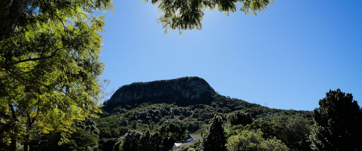 Mount Ninderry with lush green trees against a vivid blue sky,. near Noosa on the Sunshine Coast hinterland, Queensland, Australia