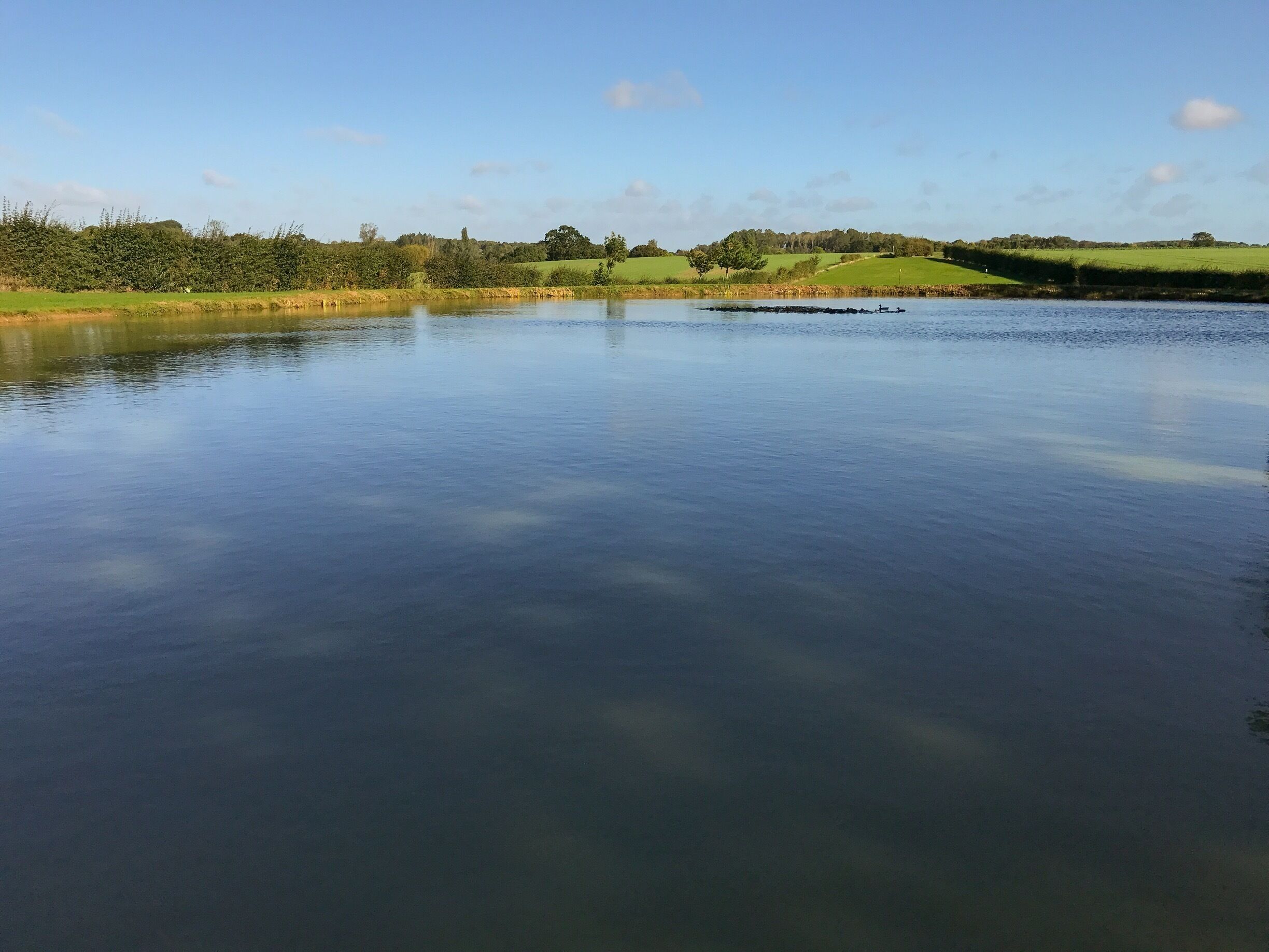 Pool at Marsh Farm, Sternfield, Suffolk. 