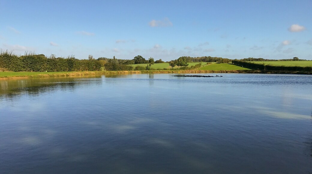 Pool at Marsh Farm, Sternfield, Suffolk.