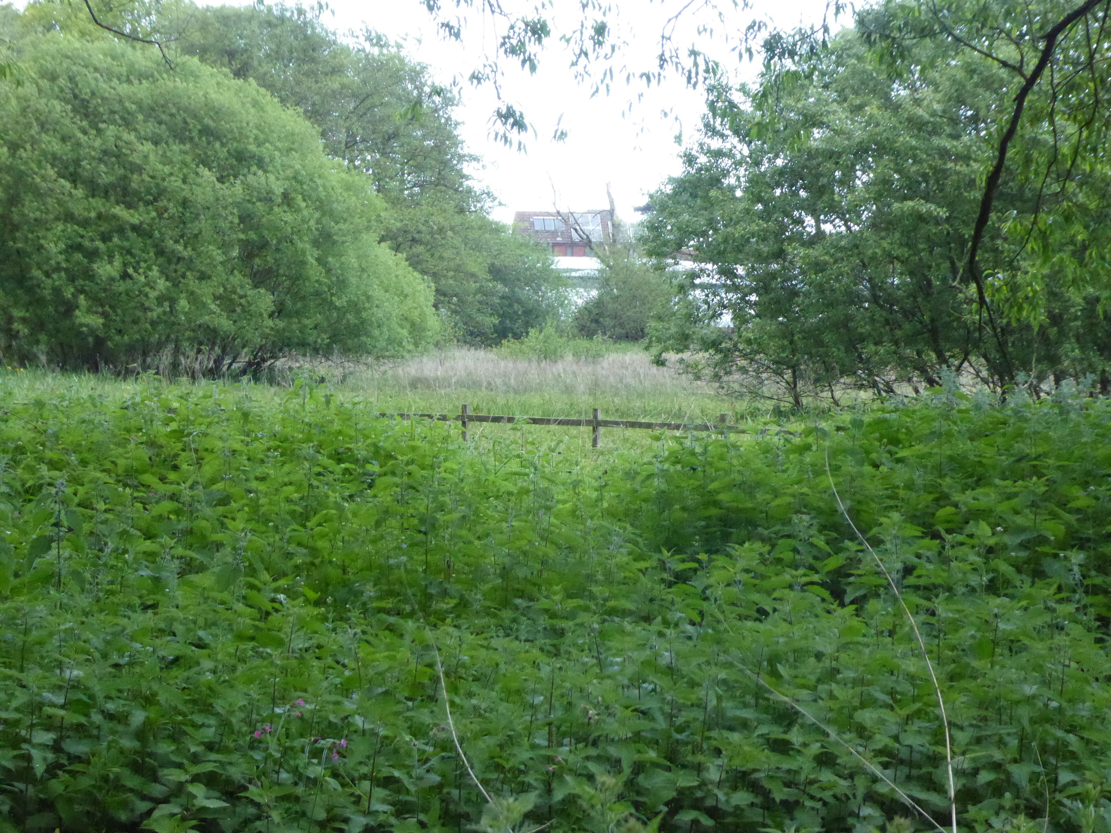 Gromford Meadow is a biological Site of Special Scientific Interest west of Snape in Suffolk