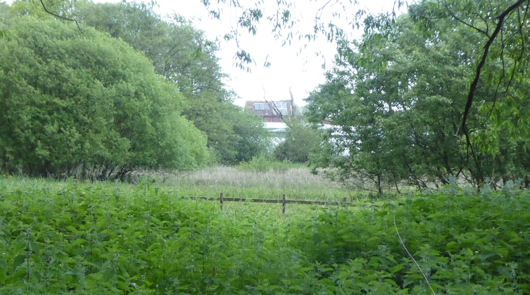 Gromford Meadow is a biological Site of Special Scientific Interest west of Snape in Suffolk